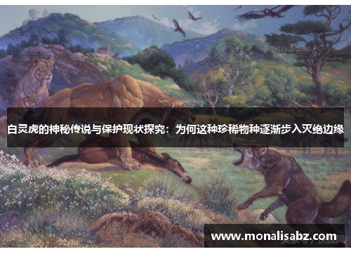 白灵虎的神秘传说与保护现状探究：为何这种珍稀物种逐渐步入灭绝边缘
