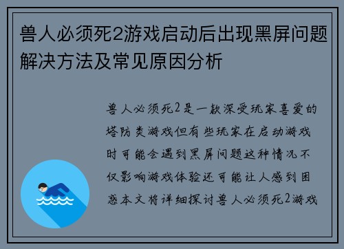 兽人必须死2游戏启动后出现黑屏问题解决方法及常见原因分析